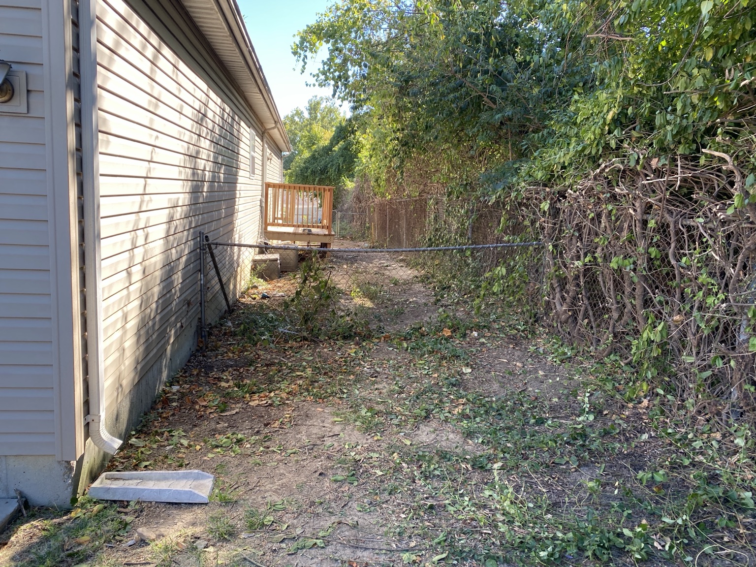 Overgrown fence line before property cleanup